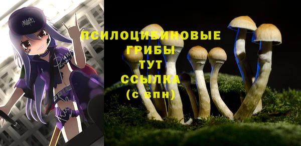 винт Белоозёрский