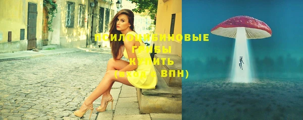 молекула духа Ступино