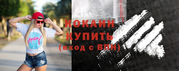 мяу мяу мука Белокуриха